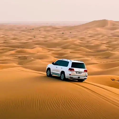Navigating to the Adventure Desert Safari Dubai