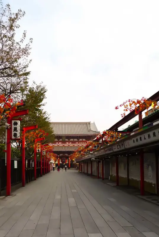 Japan Visa Assist