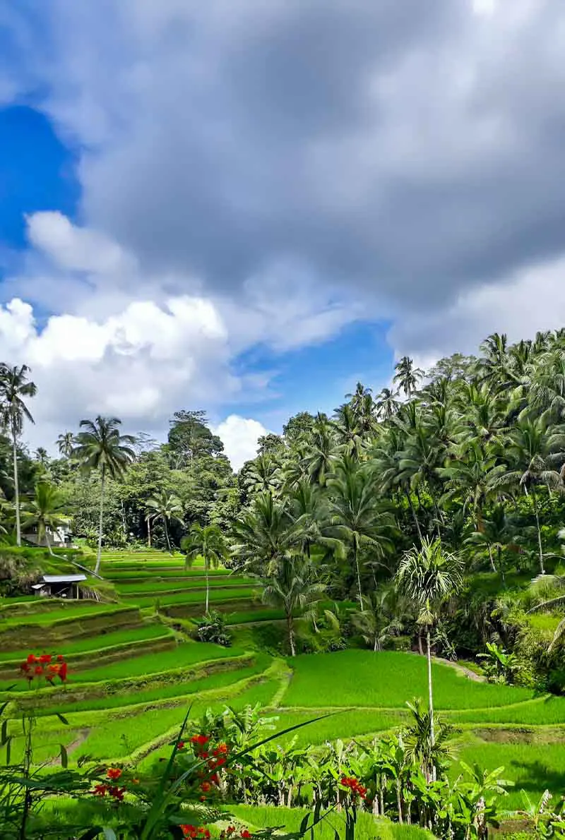 7D/6N Bali Honeymoon Package with Gili Trawangan: Romantic Getaway & Cultural Exploration