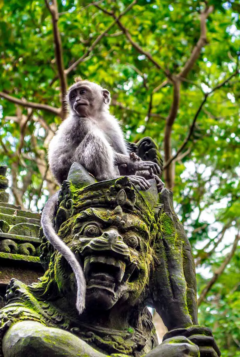 7D/6N Bali Honeymoon Package with Gili Trawangan: Romantic Getaway & Cultural Exploration