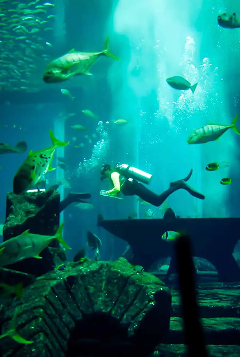 Aladdin Adventure in New Dubai Tour - Modern Dubai Landmarks & Atlantis Experience