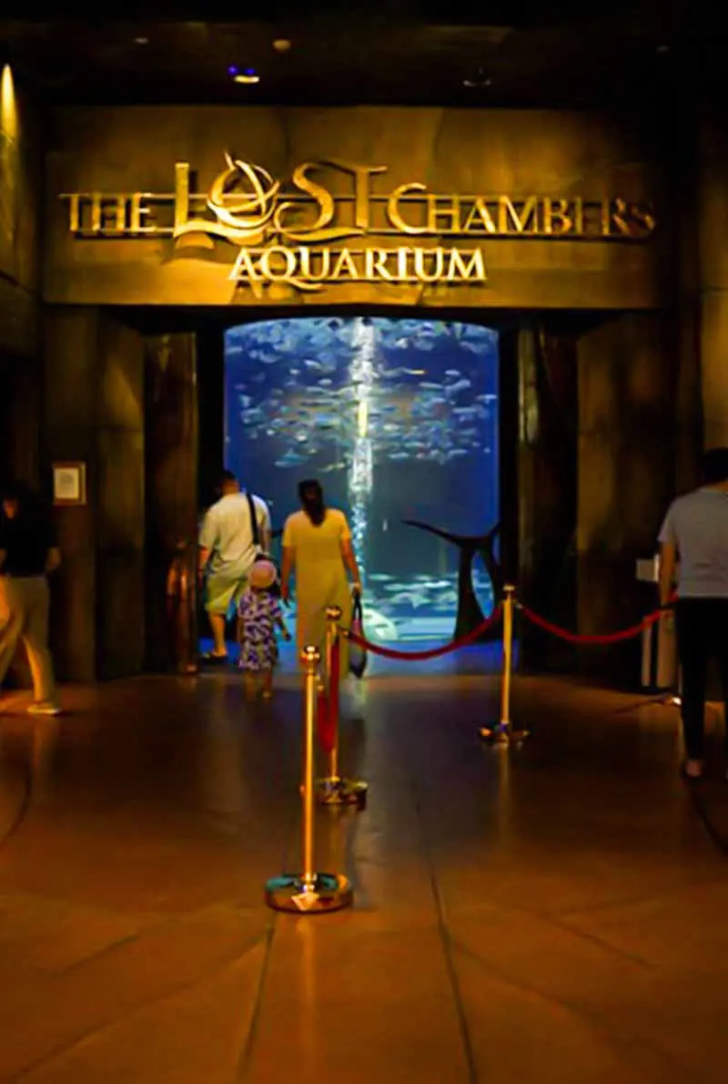 Aladdin Adventure in New Dubai Tour - Modern Dubai Landmarks & Atlantis Experience