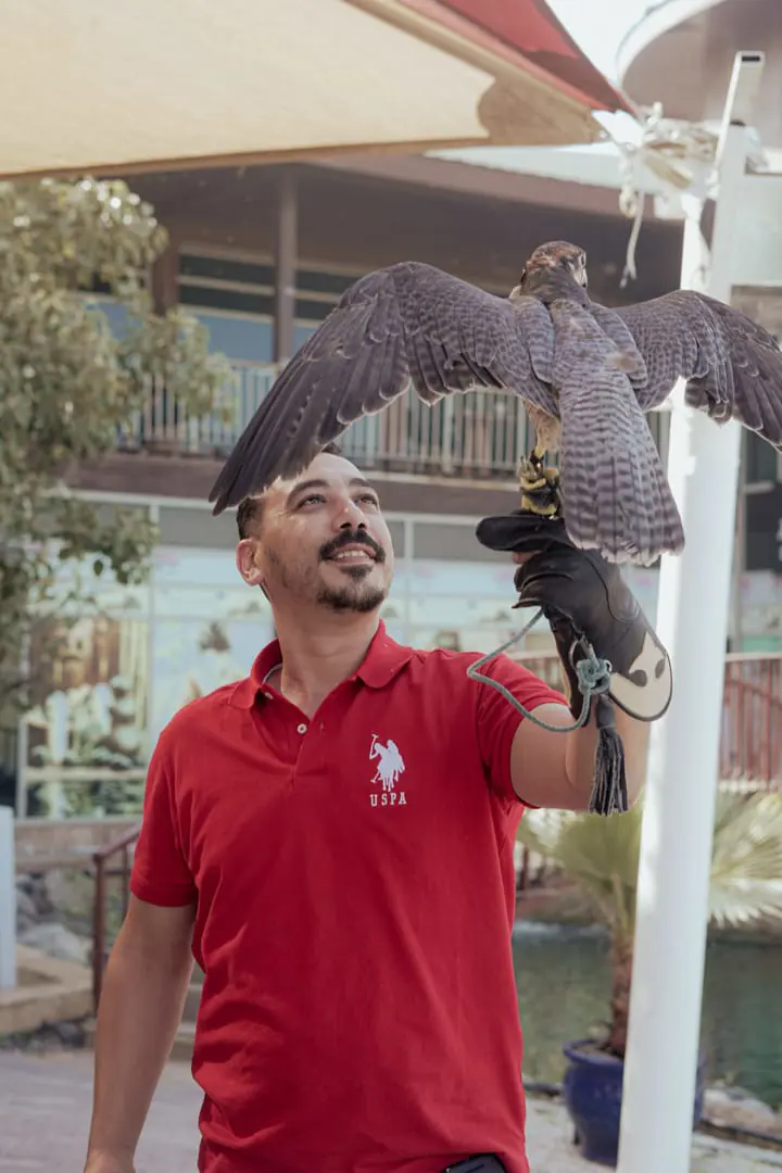 Hot Air Balloon by Action Flight