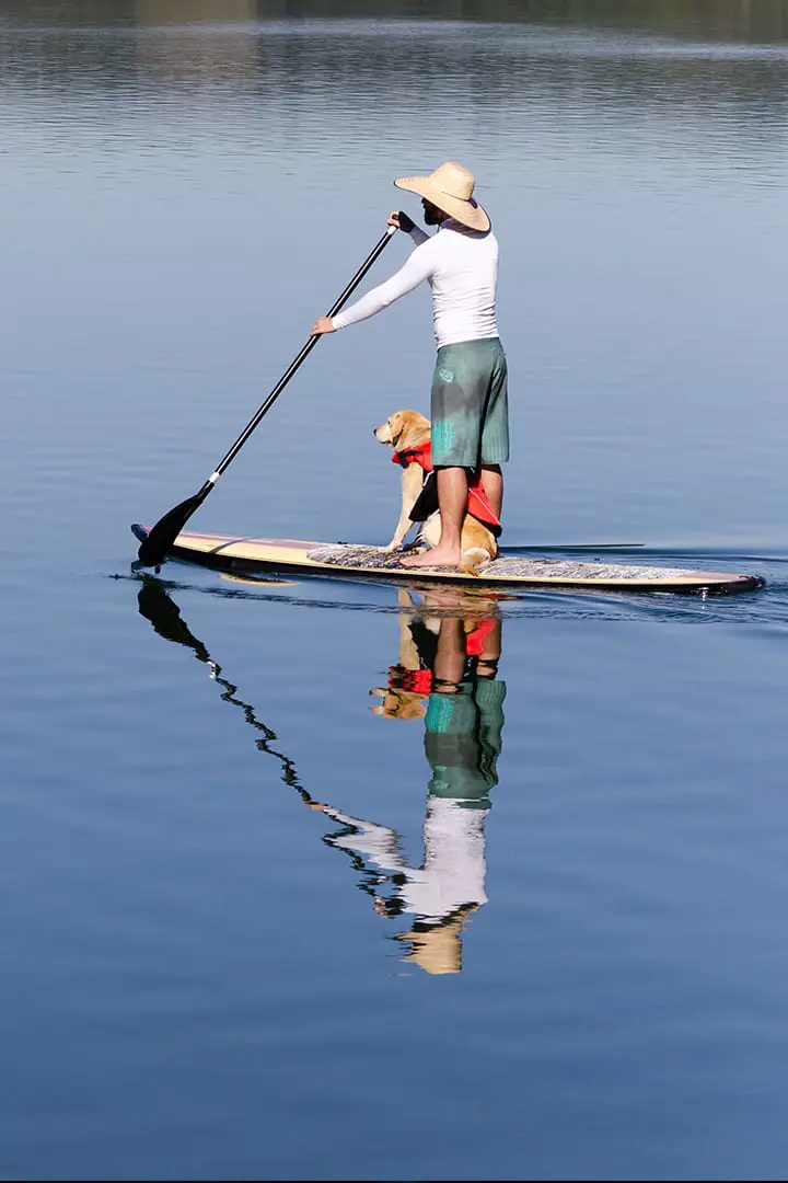 Stand Up Paddle dubai