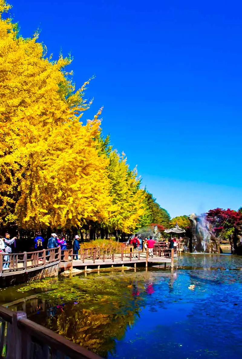 4N5D Korea Medical Tourism: Skin Clinic Program with Botox, Filler & Laser Treatments in Seoul | July-December 2025