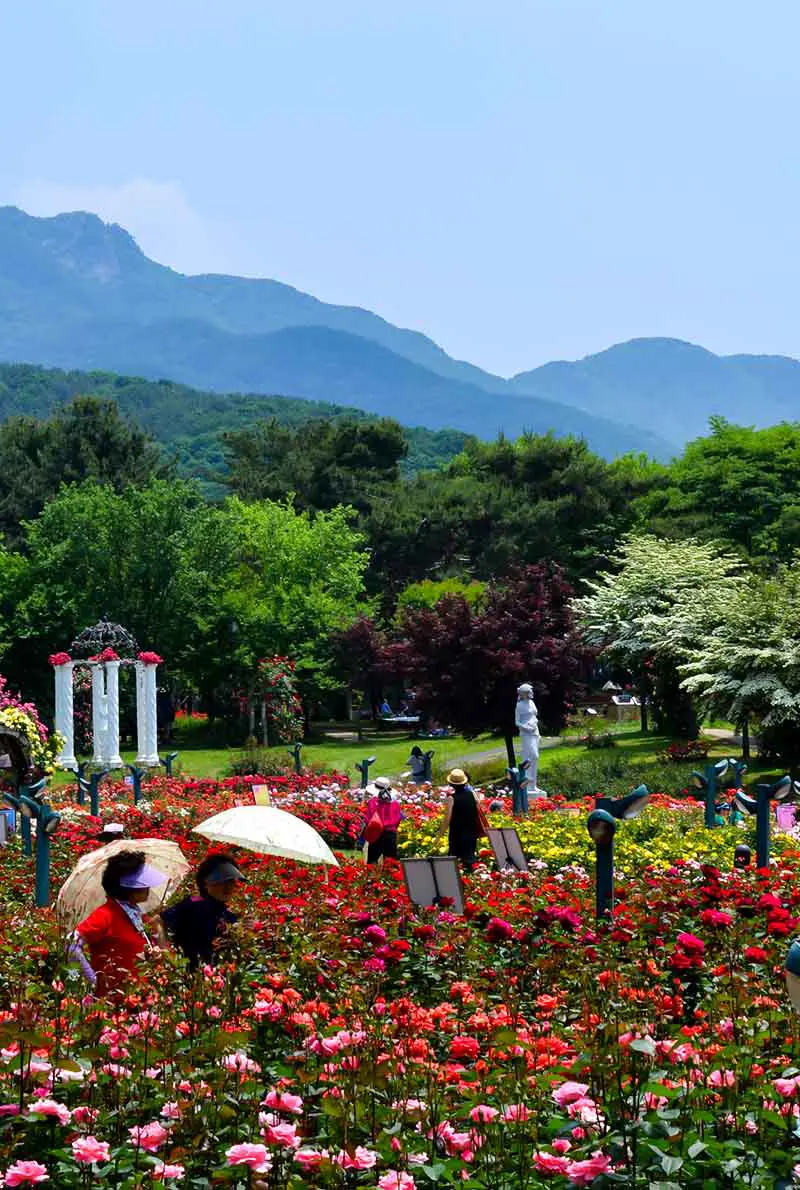 4N5D Korea Medical Tourism: Skin Clinic Program with Botox, Filler & Laser Treatments in Seoul | July-December 2025