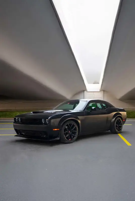Bold Dodge Rentals: American Performance on Demand