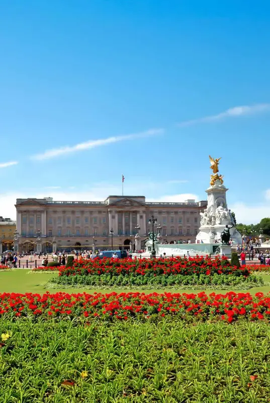 UK Visa Assist