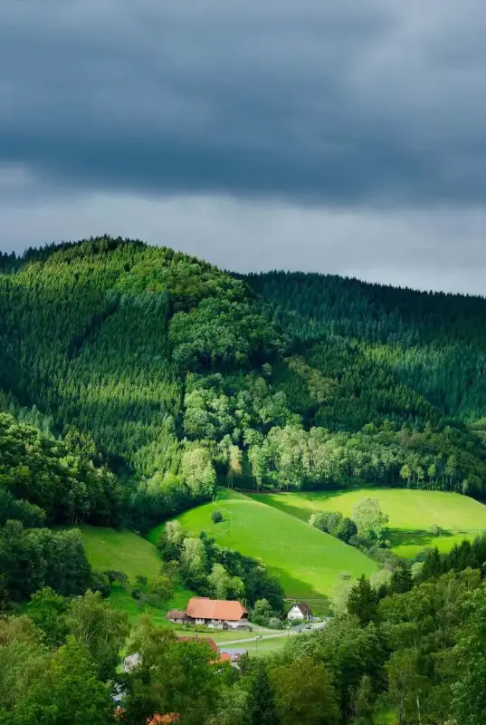 Eid 2025 Europe Adventure: 7 Nights Zurich to Paris | Swiss Alps, Black Forest & Disneyland