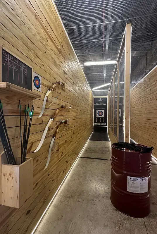 Action Park Target Shooting : Master the Art