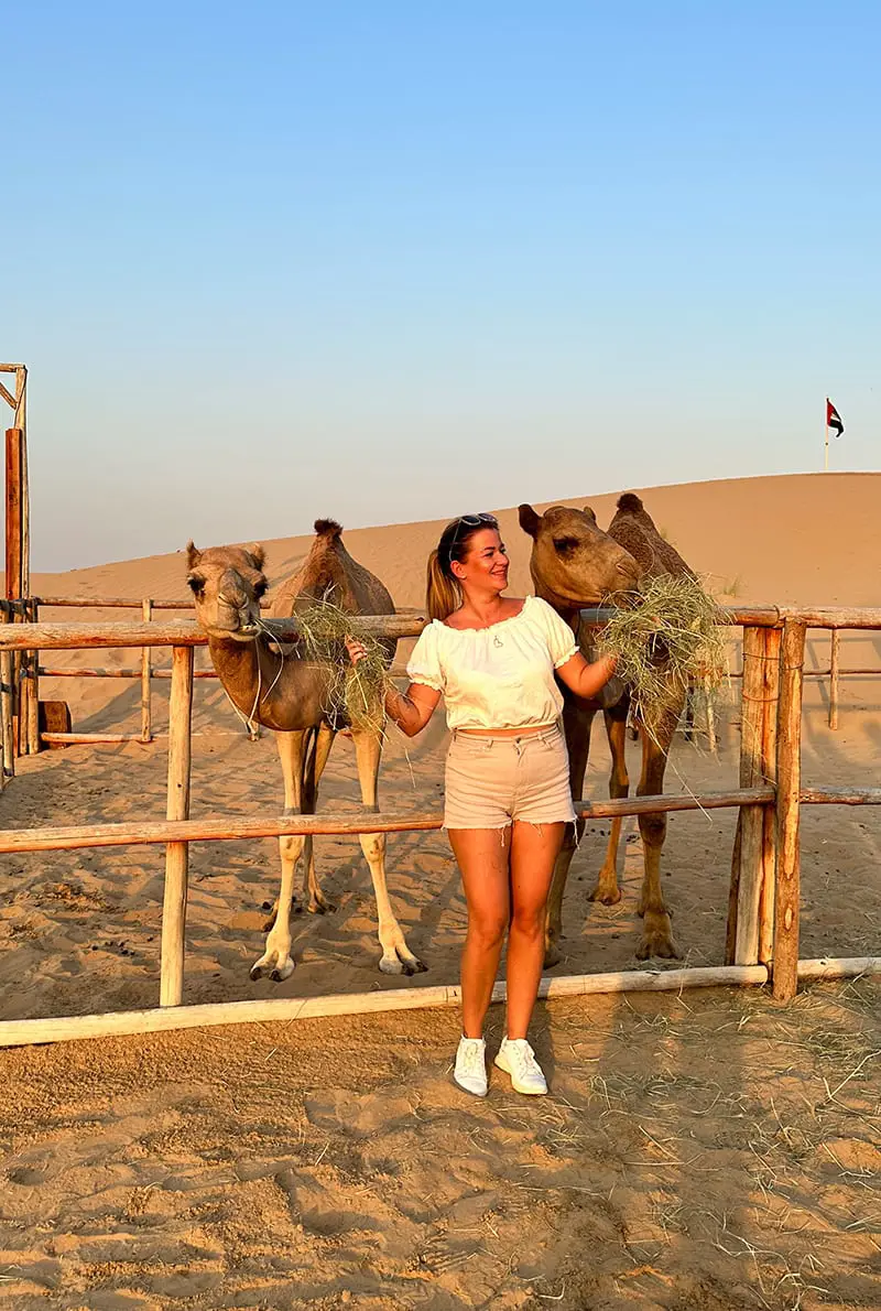 Desert Safari Al Khayma