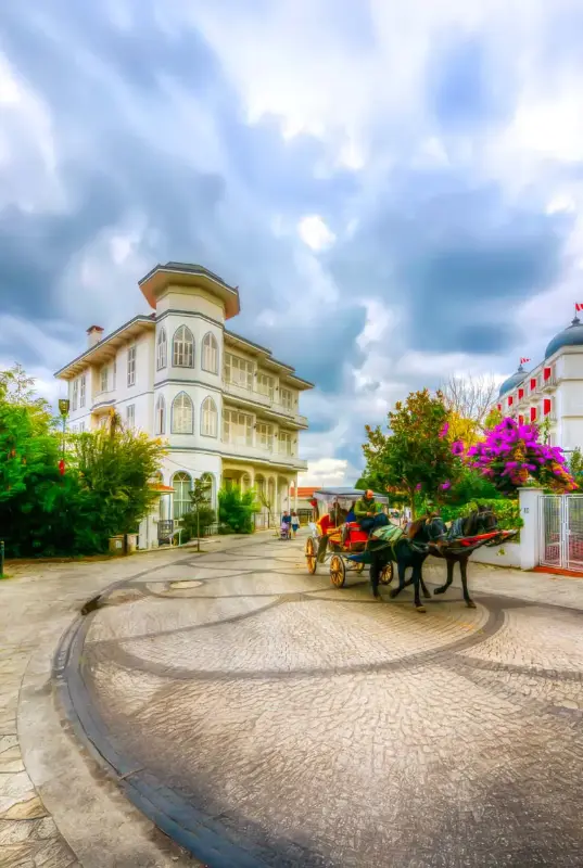 Turkey Visa Assist