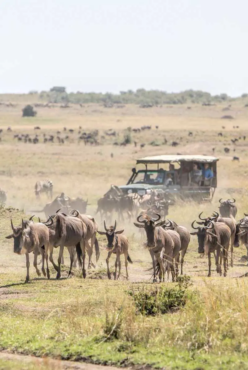 4 Nights in Kenya
