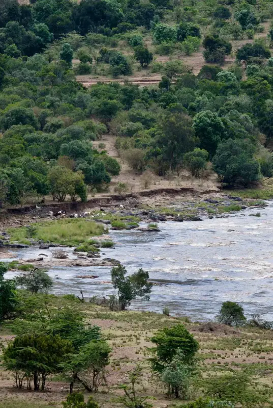 4 Nights in Kenya