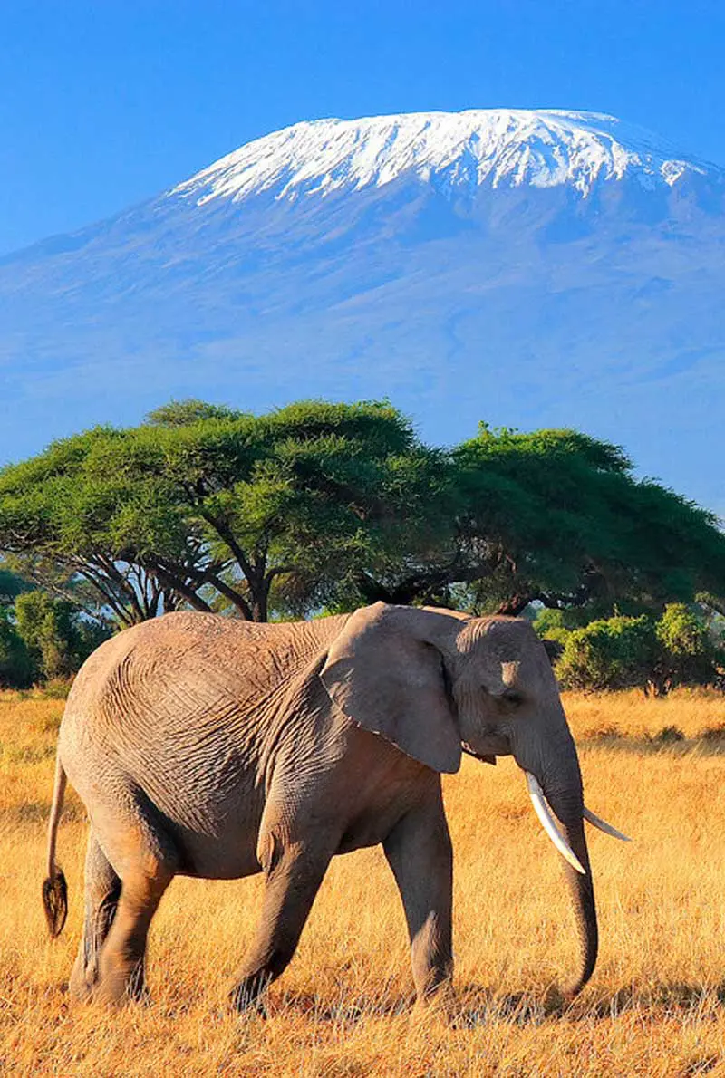 4 Nights in Kenya