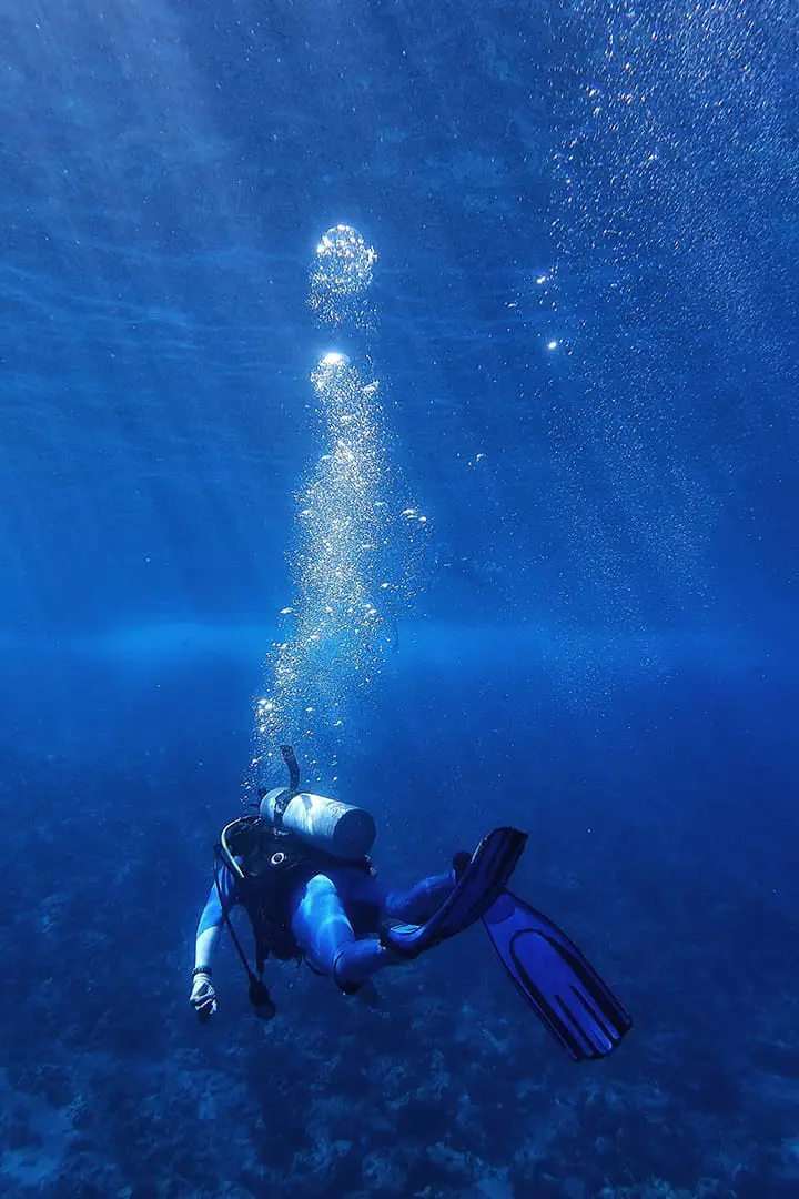 Majellan Marine Diving Center