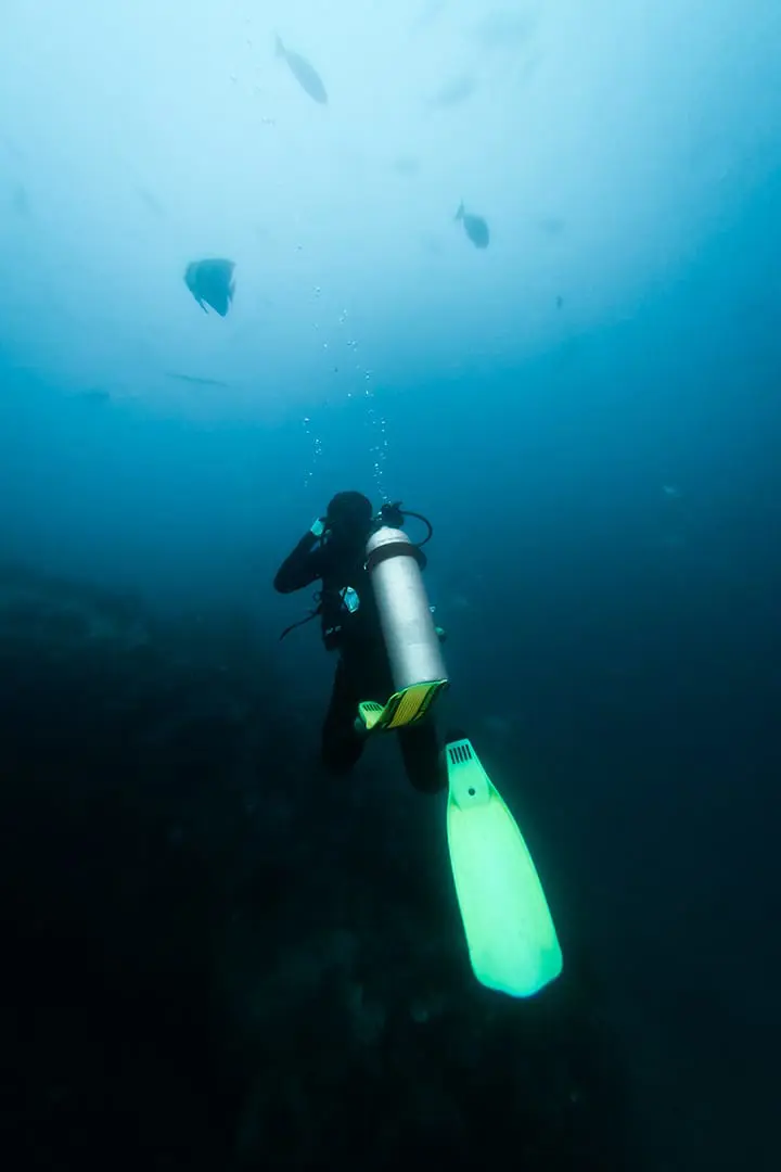 Majellan Marine Diving Center