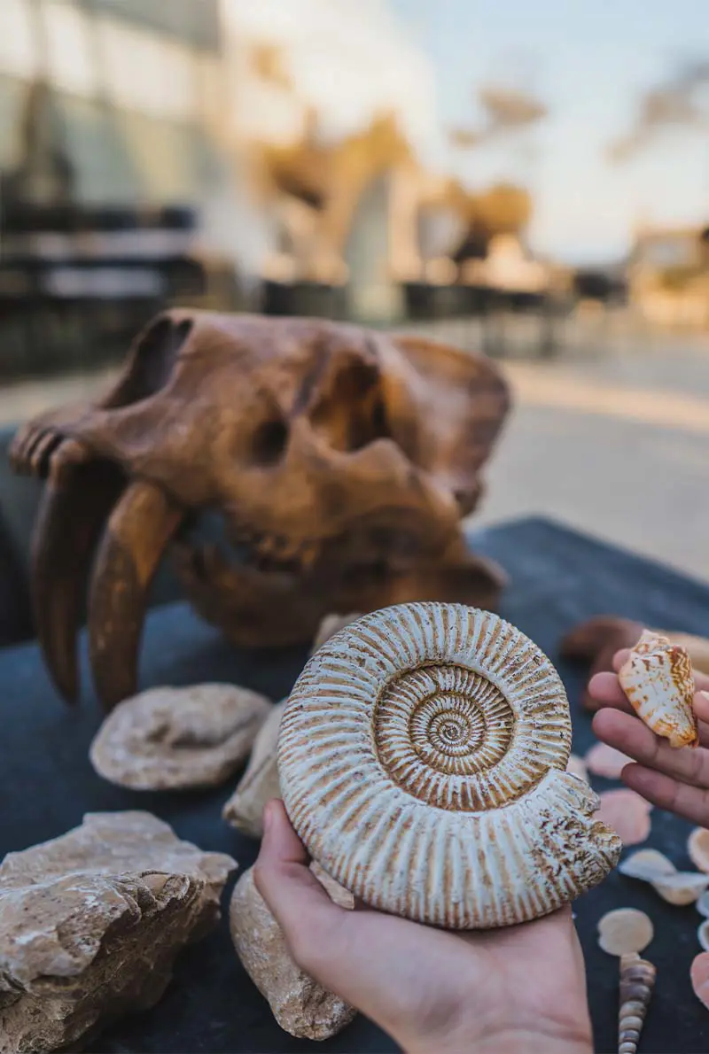 Mleiha Adventures: For History Buffs & Thrill-Seekers