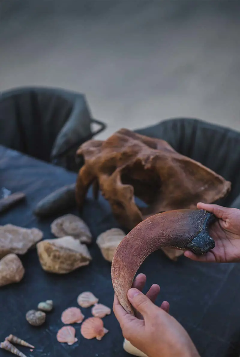 Mleiha Adventures: For History Buffs & Thrill-Seekers