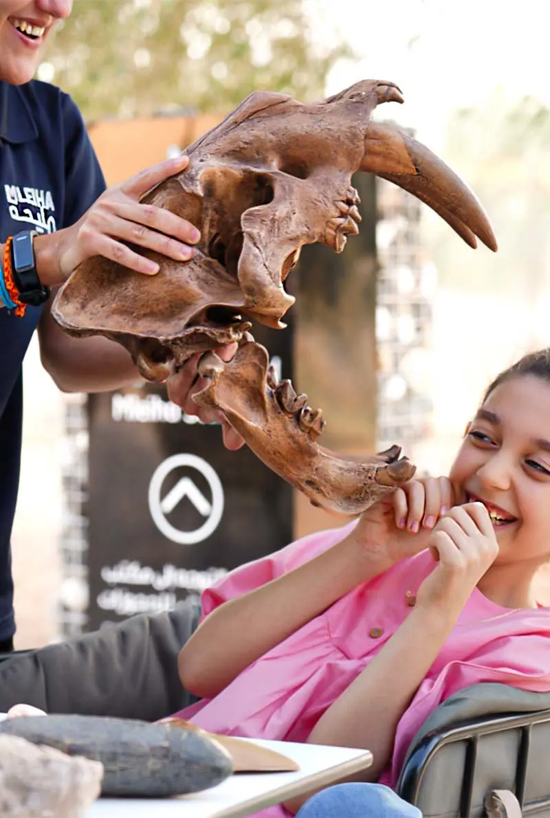 Mleiha Adventures: For History Buffs & Thrill-Seekers