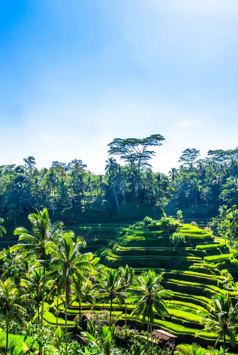 Eid Al Fitr 2025 Bali Package: 4-Night Luxury Getaway with Flights, 5-Star Stays & Top Attractions