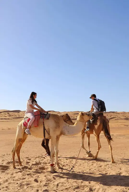 Hatta Safari