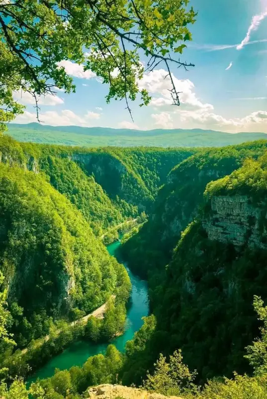 Bosnia Visa Assist