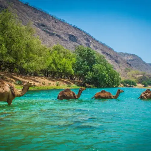 Navigating to the Salalah Nature & Culture – UAE National Day