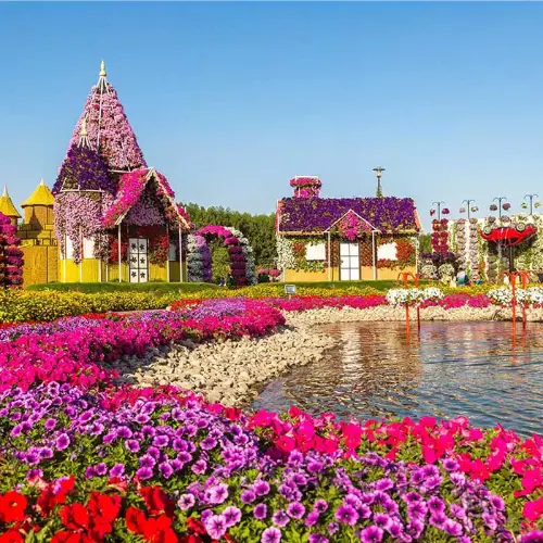 Переход к Dubai Miracle Garden