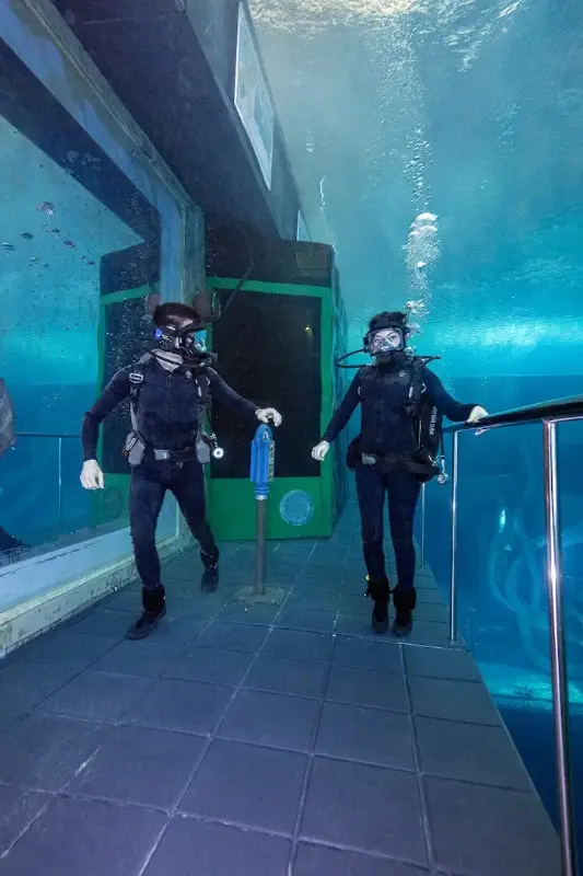 Deep Dive Dubai Sunken City Walk Experience
