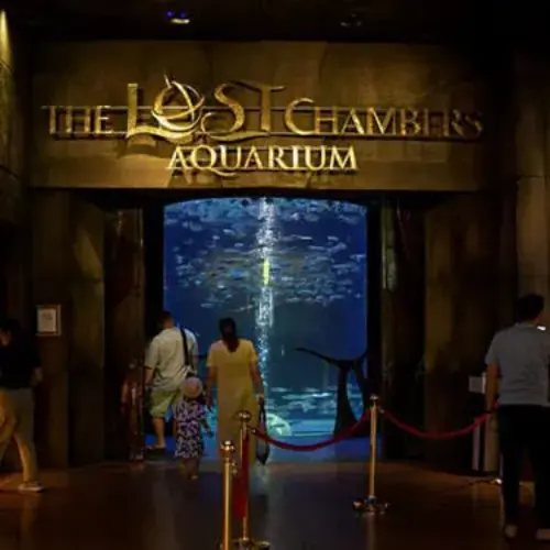 Navigating to the The Lost Chamber Aquarium